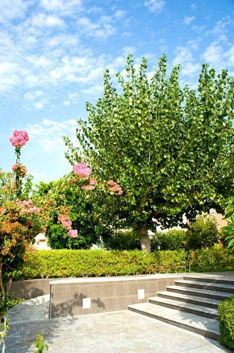 גרני צ'ניון Alfa Hotel Apartments מראה חיצוני תמונה